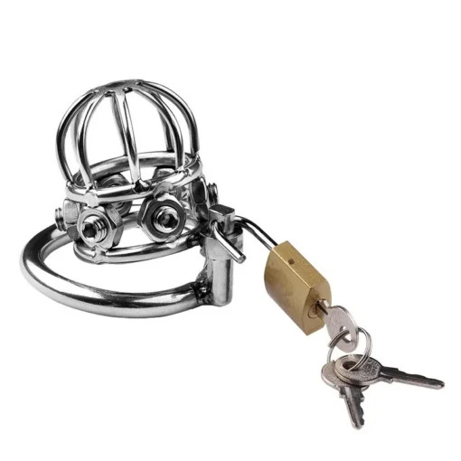 kf S27c9ea33b05349c0a468f03a3618ce6cy Chastity Lock with 3 Snap Ring Men s Adult Bondage and Abstinence Metal Willow Nail Dildo