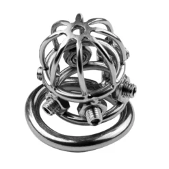 kf S35fae11ba23a4844a9420a184a48ef6ee Chastity Lock with 3 Snap Ring Men s Adult Bondage and Abstinence Metal Willow Nail Dildo