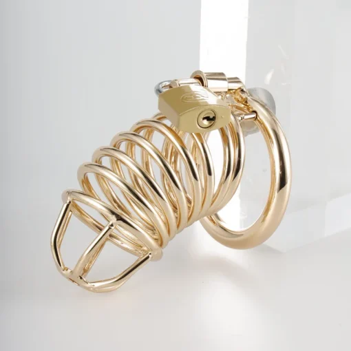 kf Safea779bae93488386016dbbdd03dc754 Man Metal Chastity Cage with 3 Snap Rings Stainless Steel Penis Restriction Anti Cheating Urethra Lock