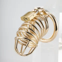 kf Sfabbcd1df34249af9ec381436d40a665Z Man Metal Chastity Cage with 3 Snap Rings Stainless Steel Penis Restriction Anti Cheating Urethra Lock